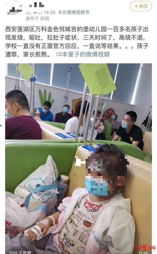 西安最新幼儿园爆料,揭秘园所现状与家长关注焦点