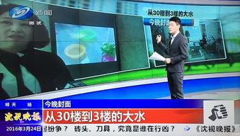 最近沈阳新闻最新爆料,揭秘XX事件背后真相