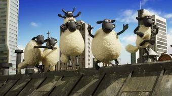 小羊最新爆料视频,幕后真相大曝光！