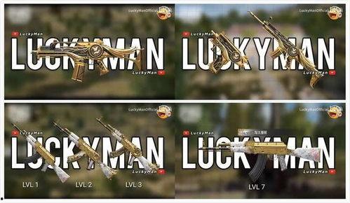 最新军需手册爆料视频大全,最新爆料视频大全深度解析